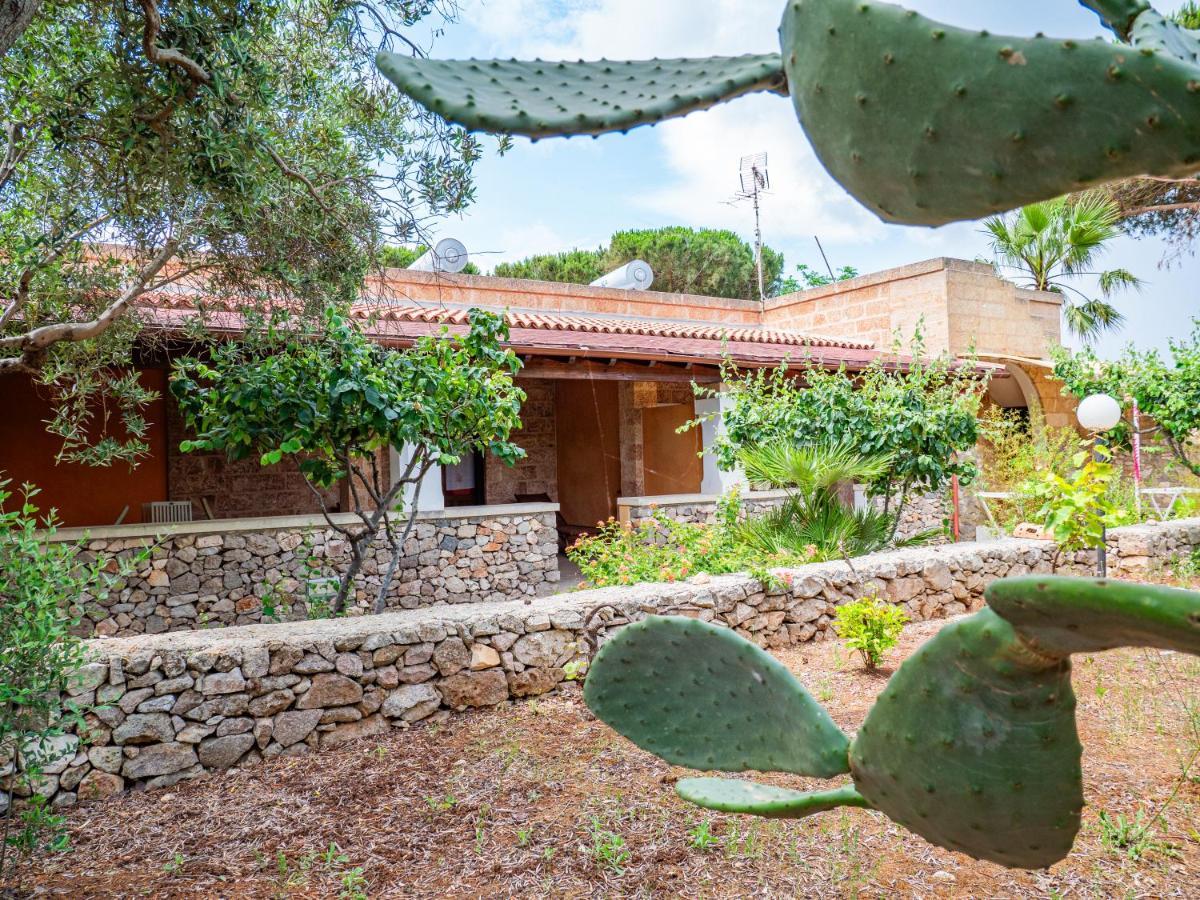 Agriturismo Masseria Alcorico 갈리아노델카포 외부 사진