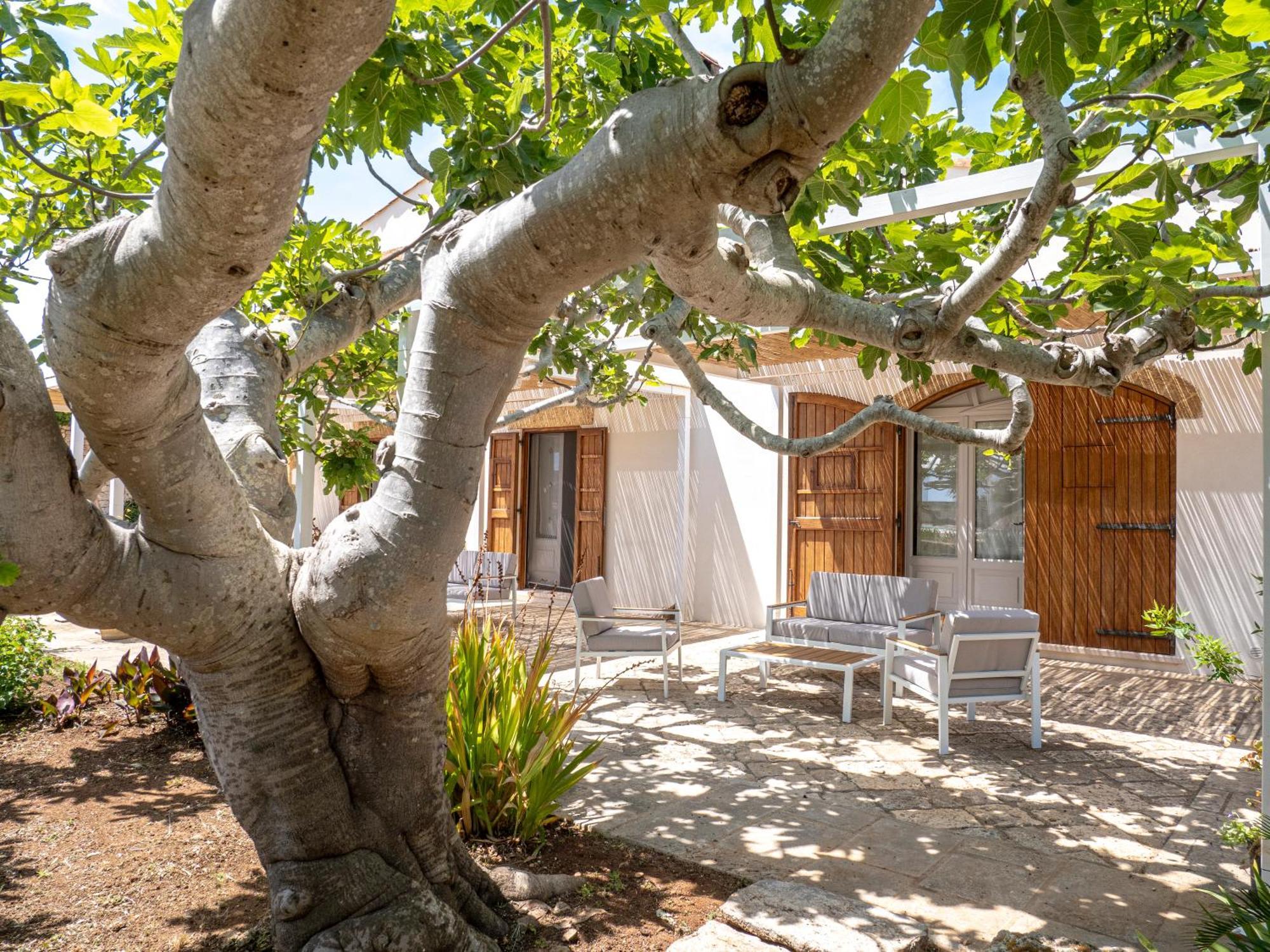 Agriturismo Masseria Alcorico 갈리아노델카포 외부 사진
